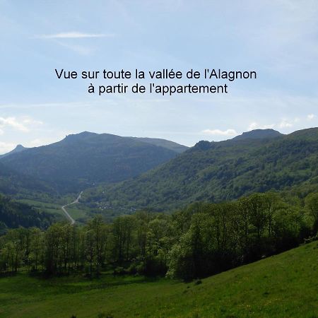 Vacances Au Pied Des Monts Du Cantal Laveissière المظهر الخارجي الصورة