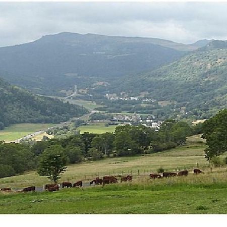 Vacances Au Pied Des Monts Du Cantal Laveissière المظهر الخارجي الصورة