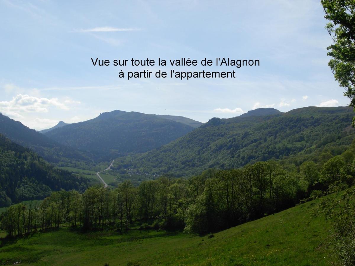 Vacances Au Pied Des Monts Du Cantal Laveissière المظهر الخارجي الصورة