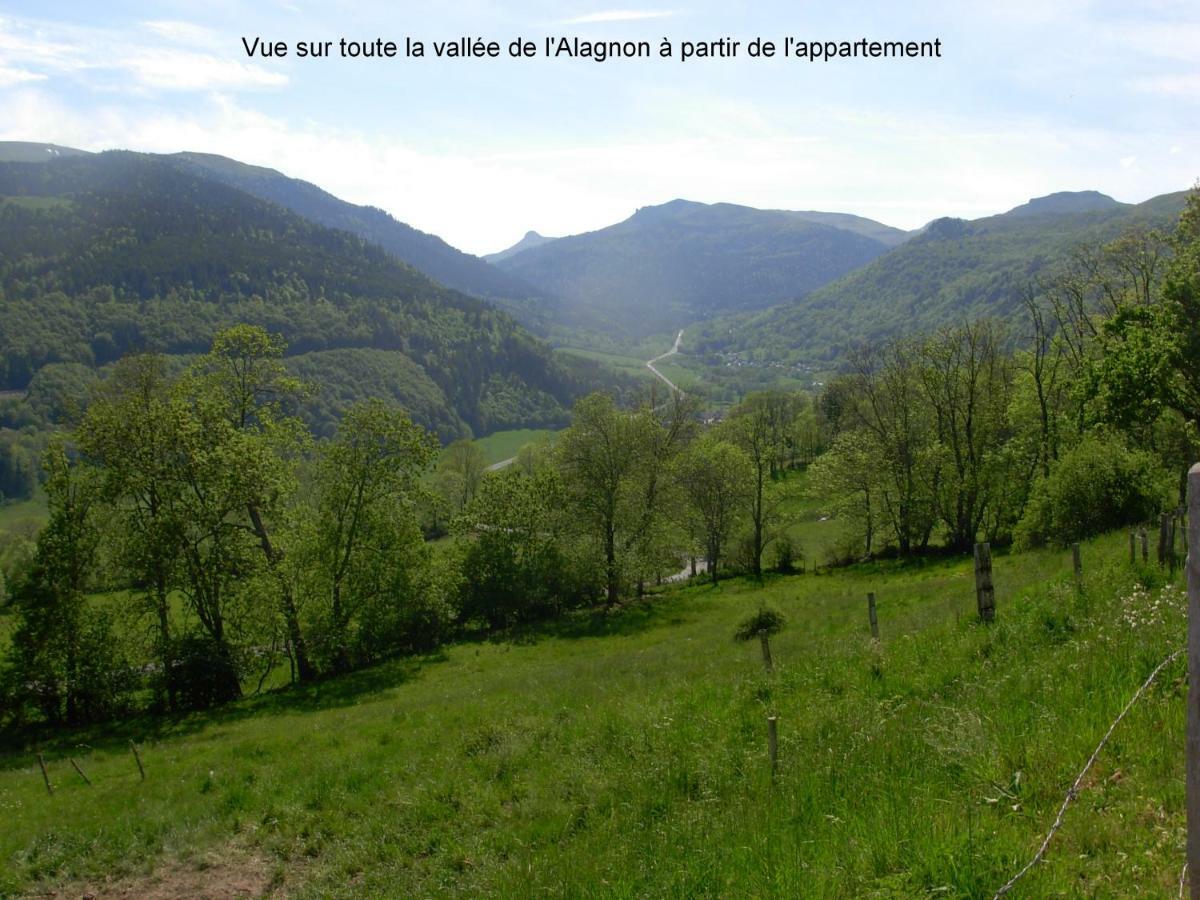 Vacances Au Pied Des Monts Du Cantal Laveissière المظهر الخارجي الصورة
