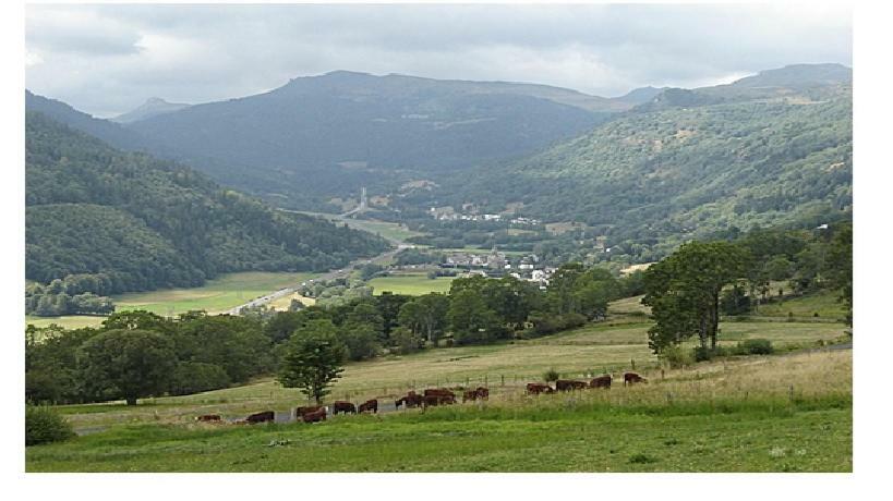Vacances Au Pied Des Monts Du Cantal Laveissière المظهر الخارجي الصورة