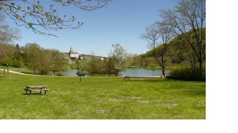 Vacances Au Pied Des Monts Du Cantal Laveissière المظهر الخارجي الصورة