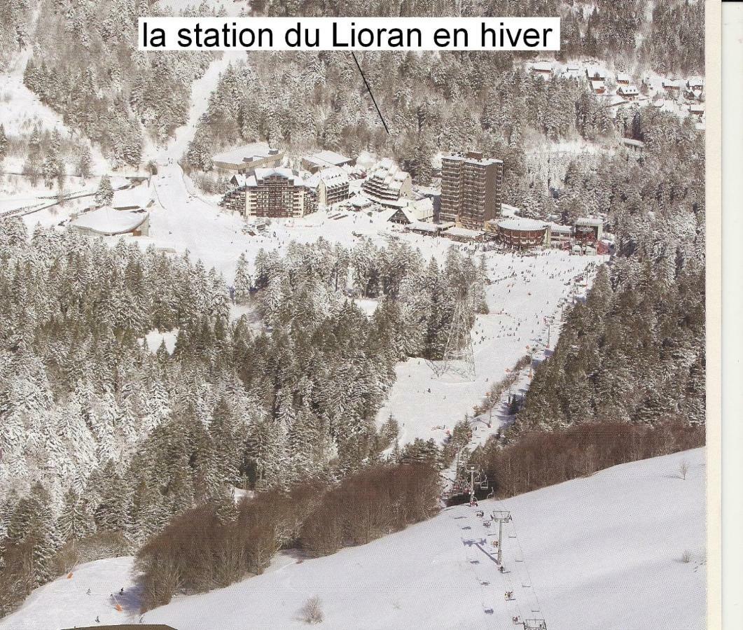 Vacances Au Pied Des Monts Du Cantal Laveissière المظهر الخارجي الصورة