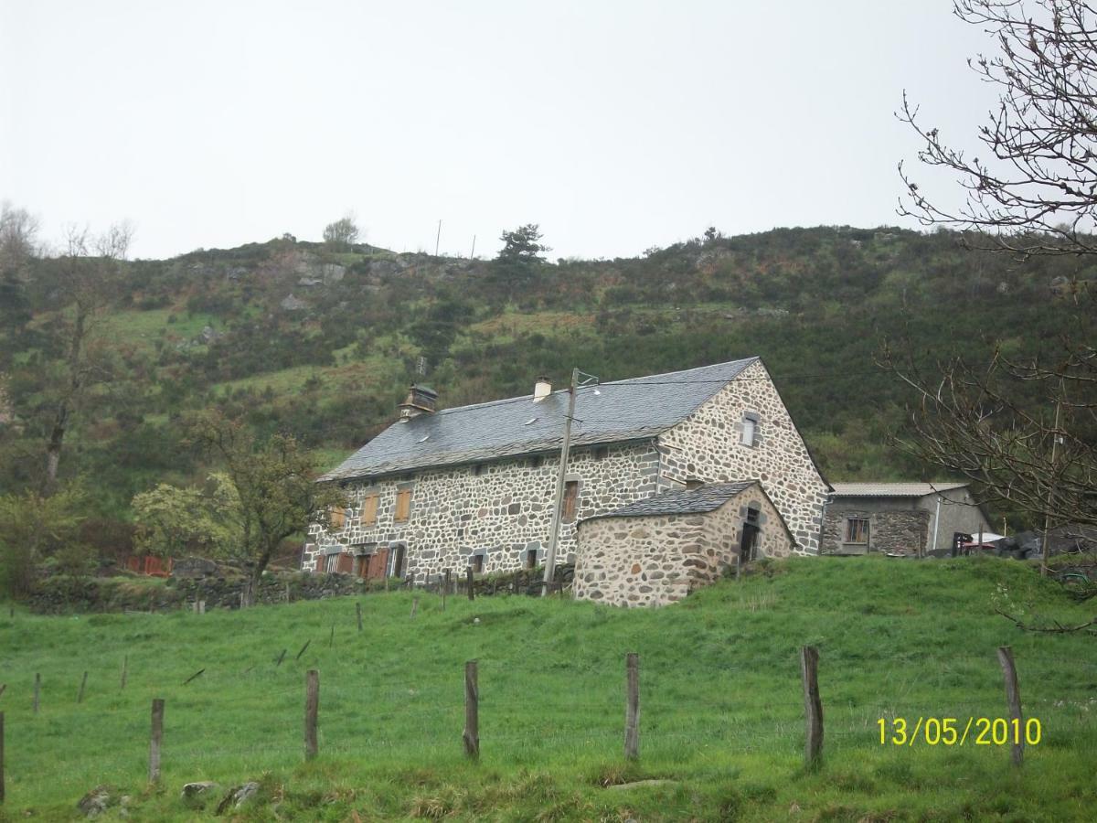 Vacances Au Pied Des Monts Du Cantal Laveissière المظهر الخارجي الصورة