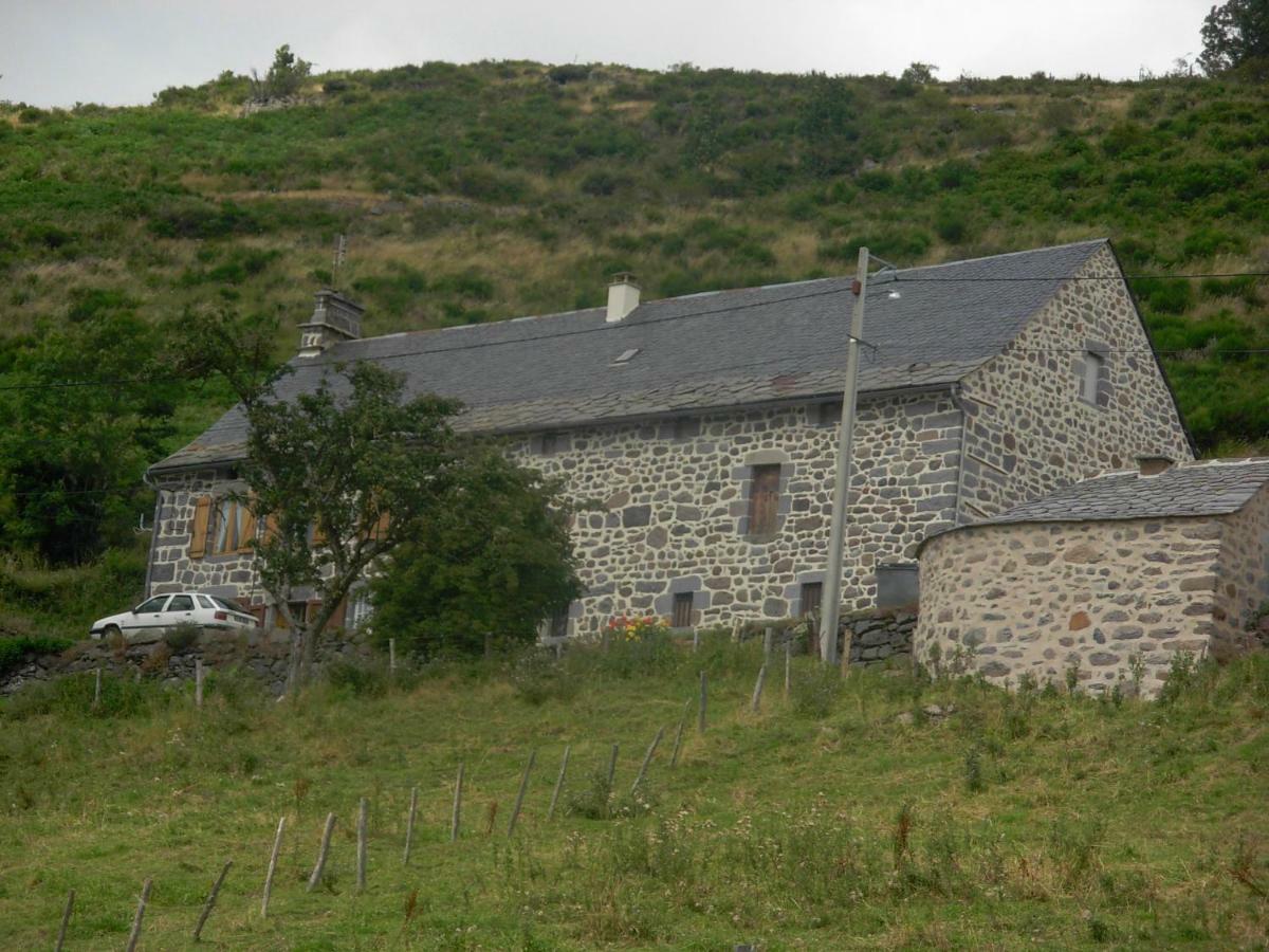 Vacances Au Pied Des Monts Du Cantal Laveissière المظهر الخارجي الصورة